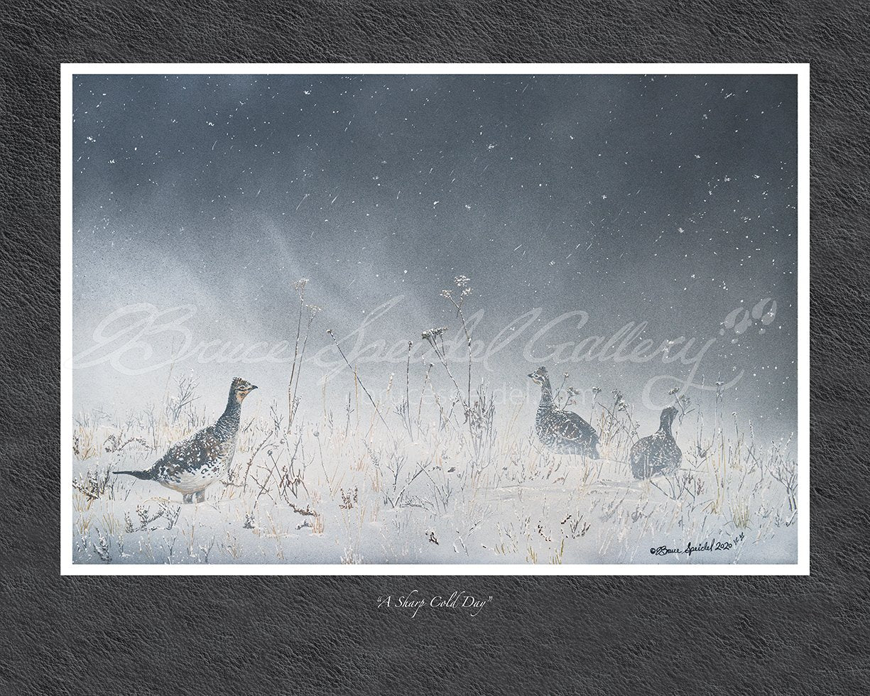 A Sharp Cold Day