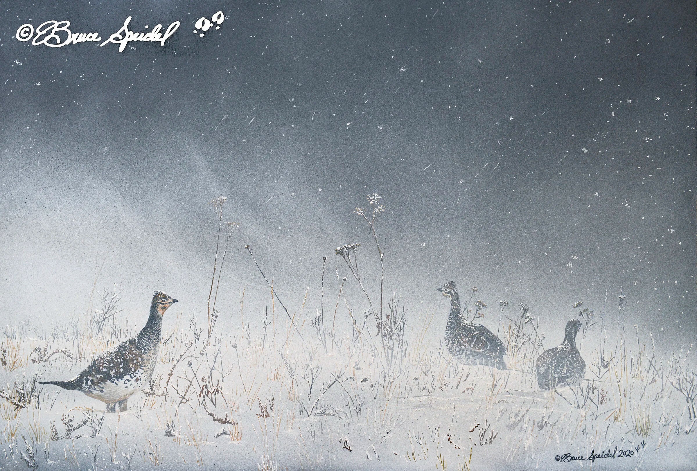 A Sharp Cold Day