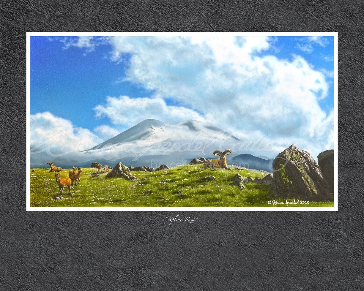 Alpine Rest