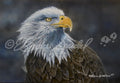American Icon