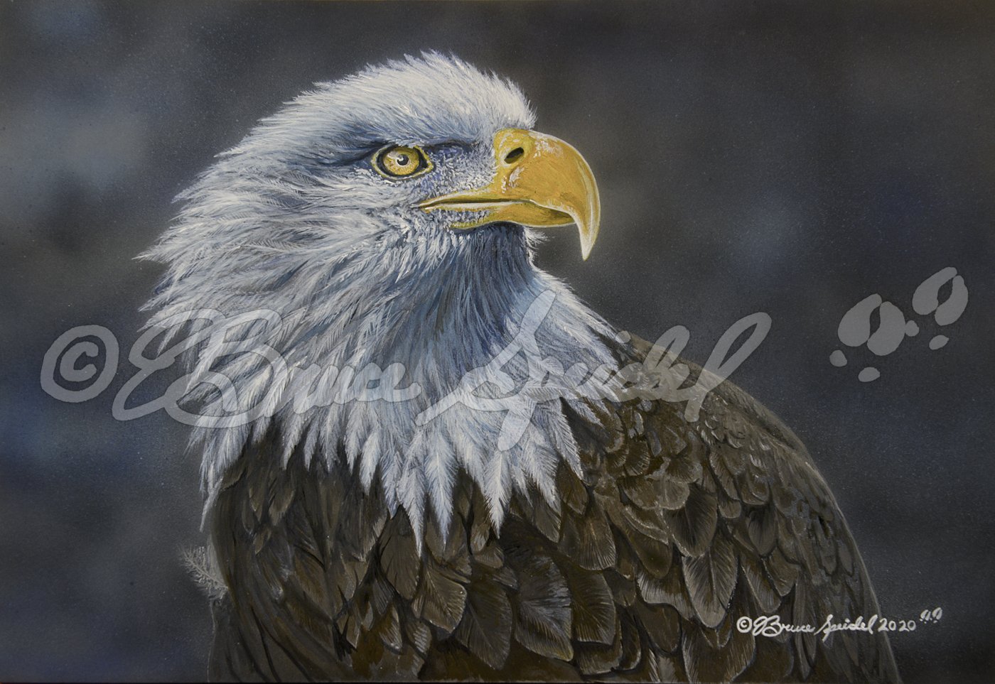 American Icon