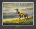 Belle River Buck