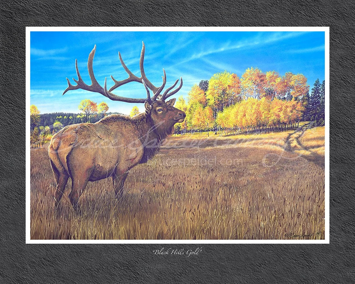 Black Hills Gold