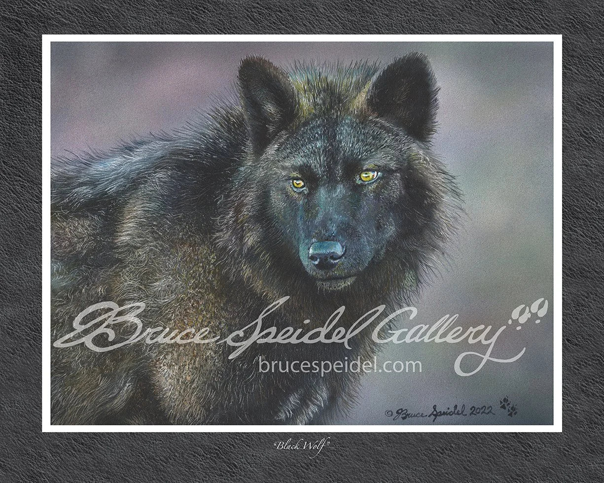 Black Wolf
