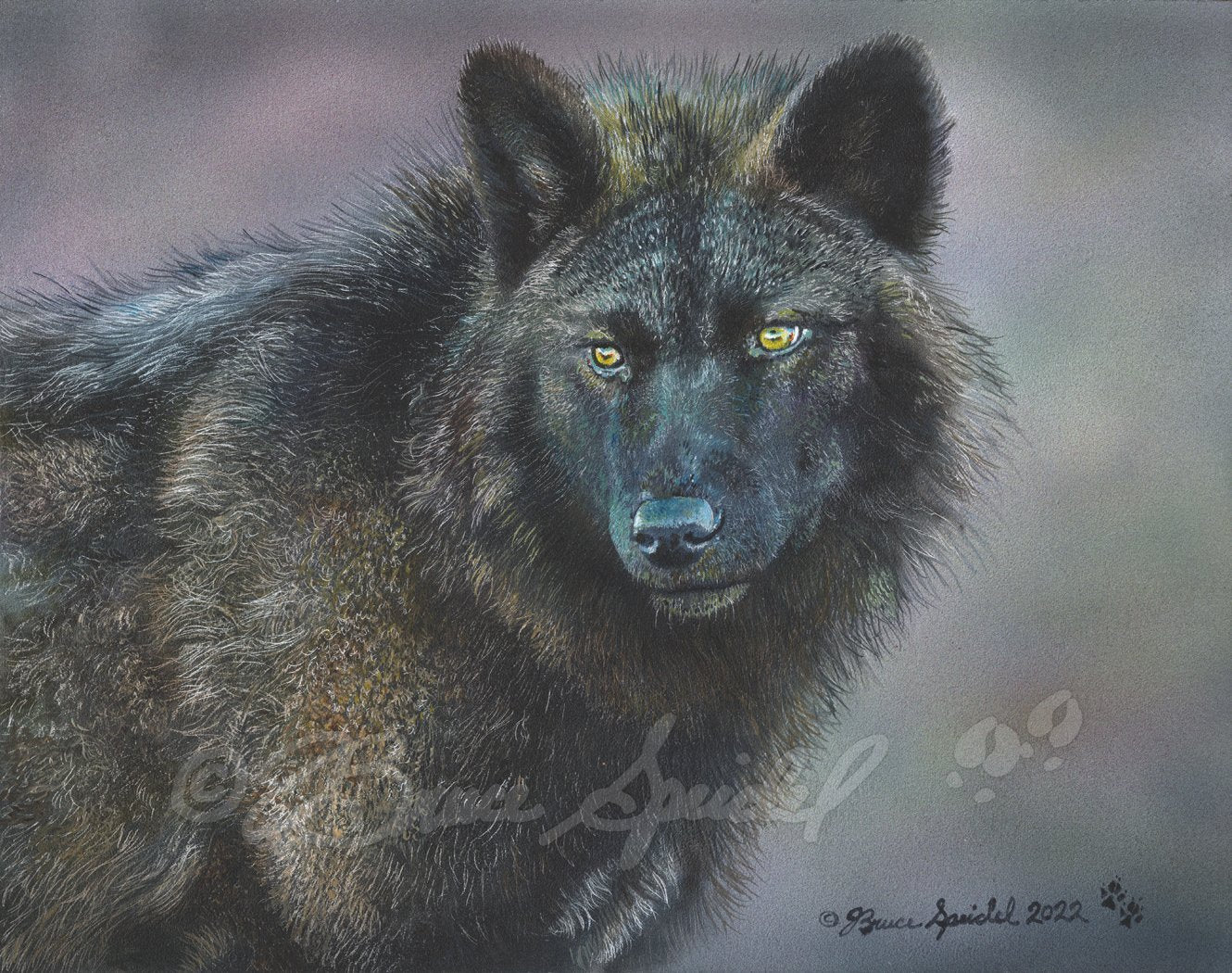 Black Wolf