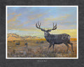 Blackie the Buck