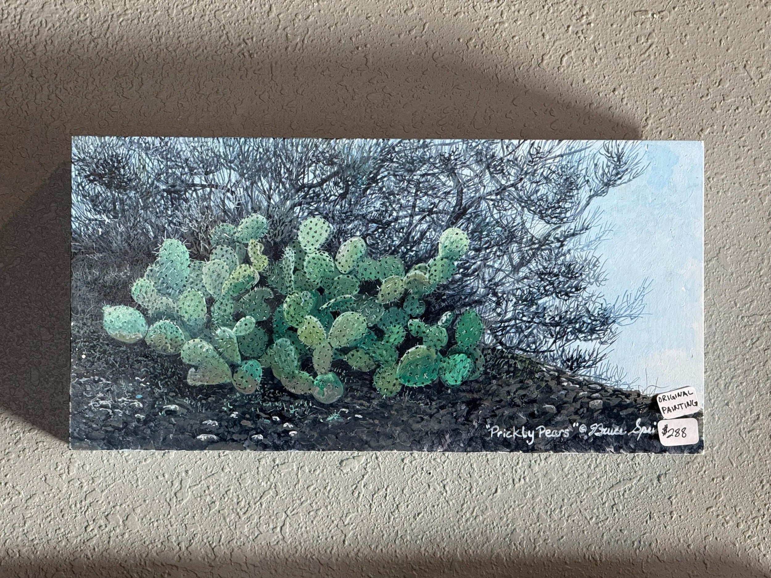 "Blue Day Cactus"