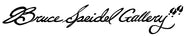 Bruce Speidel Gallery - Home