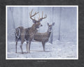 Buck Doe Snow
