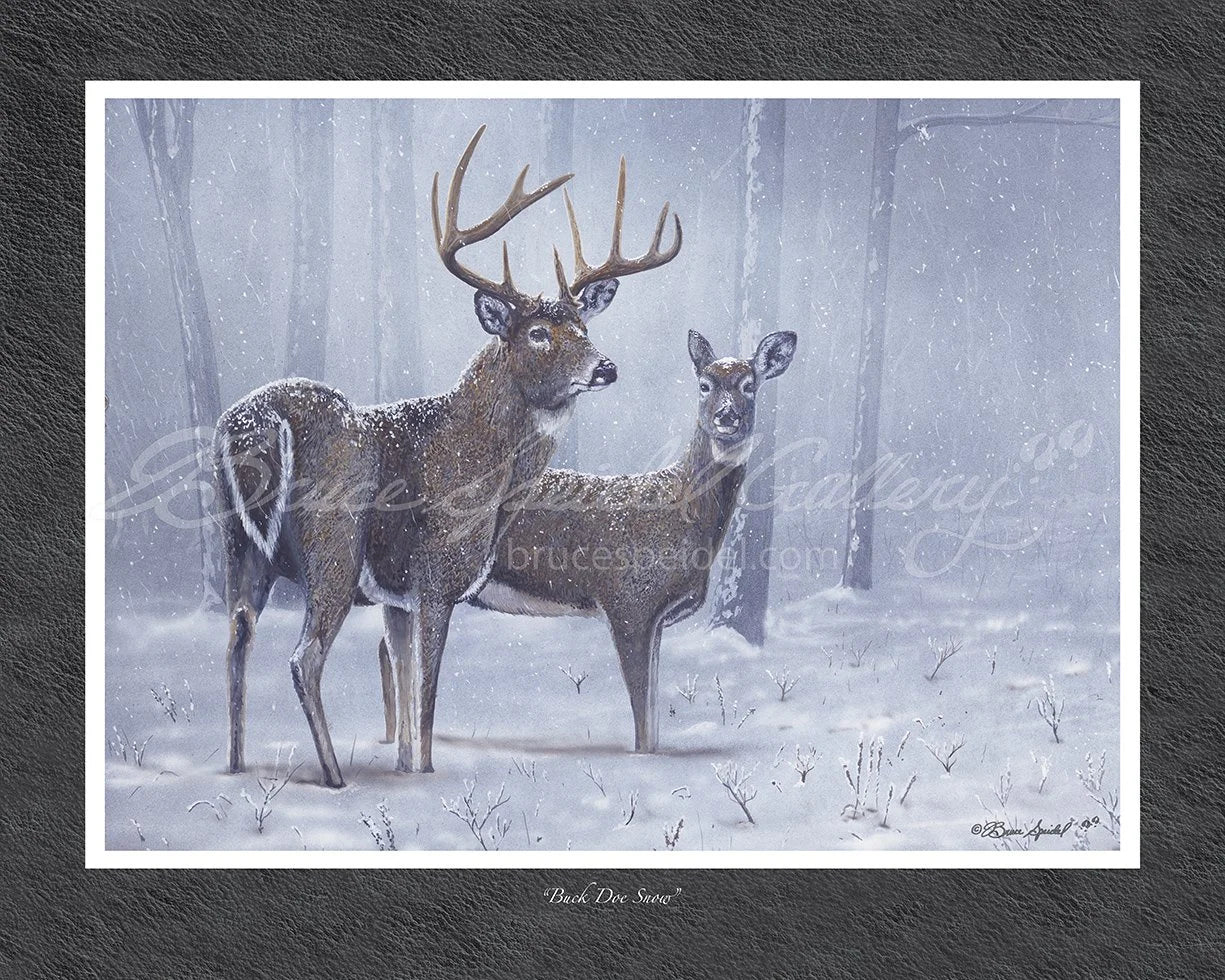 Buck Doe Snow