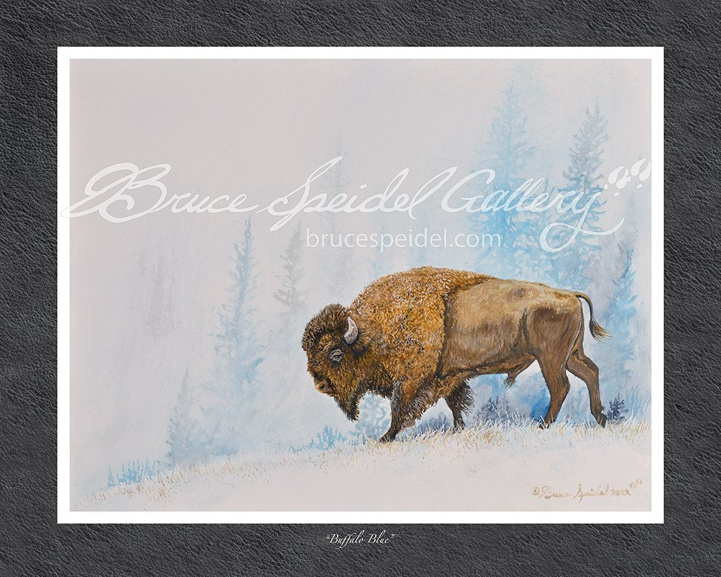 Buffalo Blue