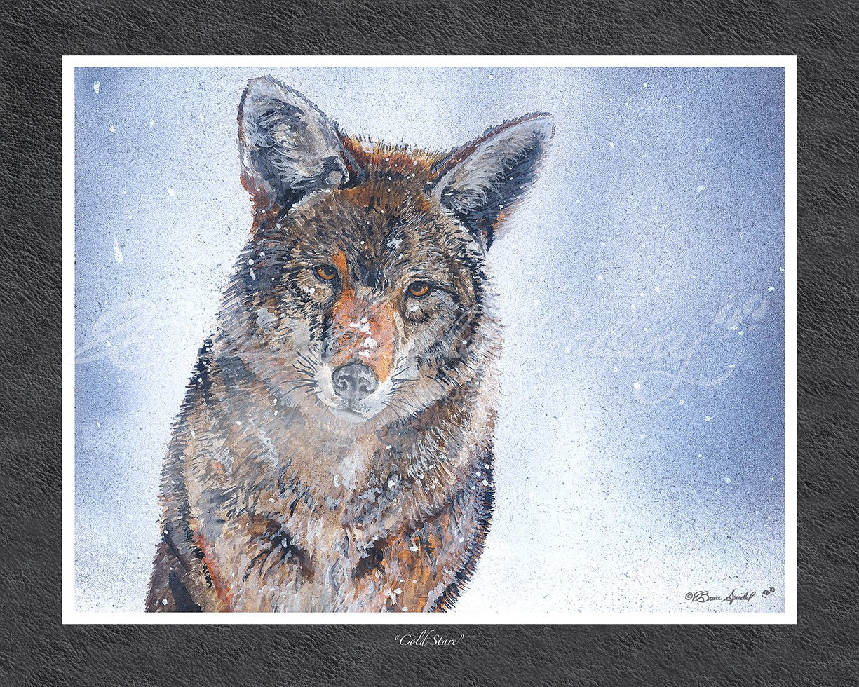 Cold Stare