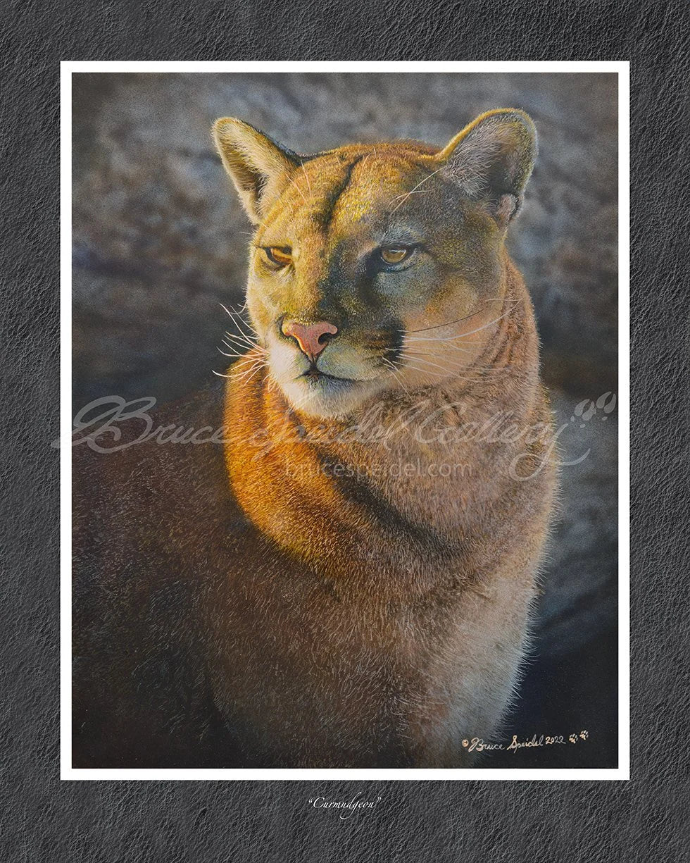 Curmudgeon