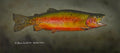 Golden Trout