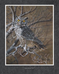 Great Horned Owl