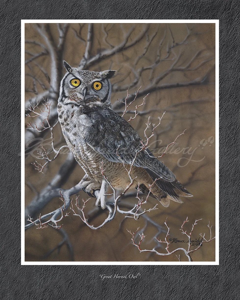 Great Horned Owl