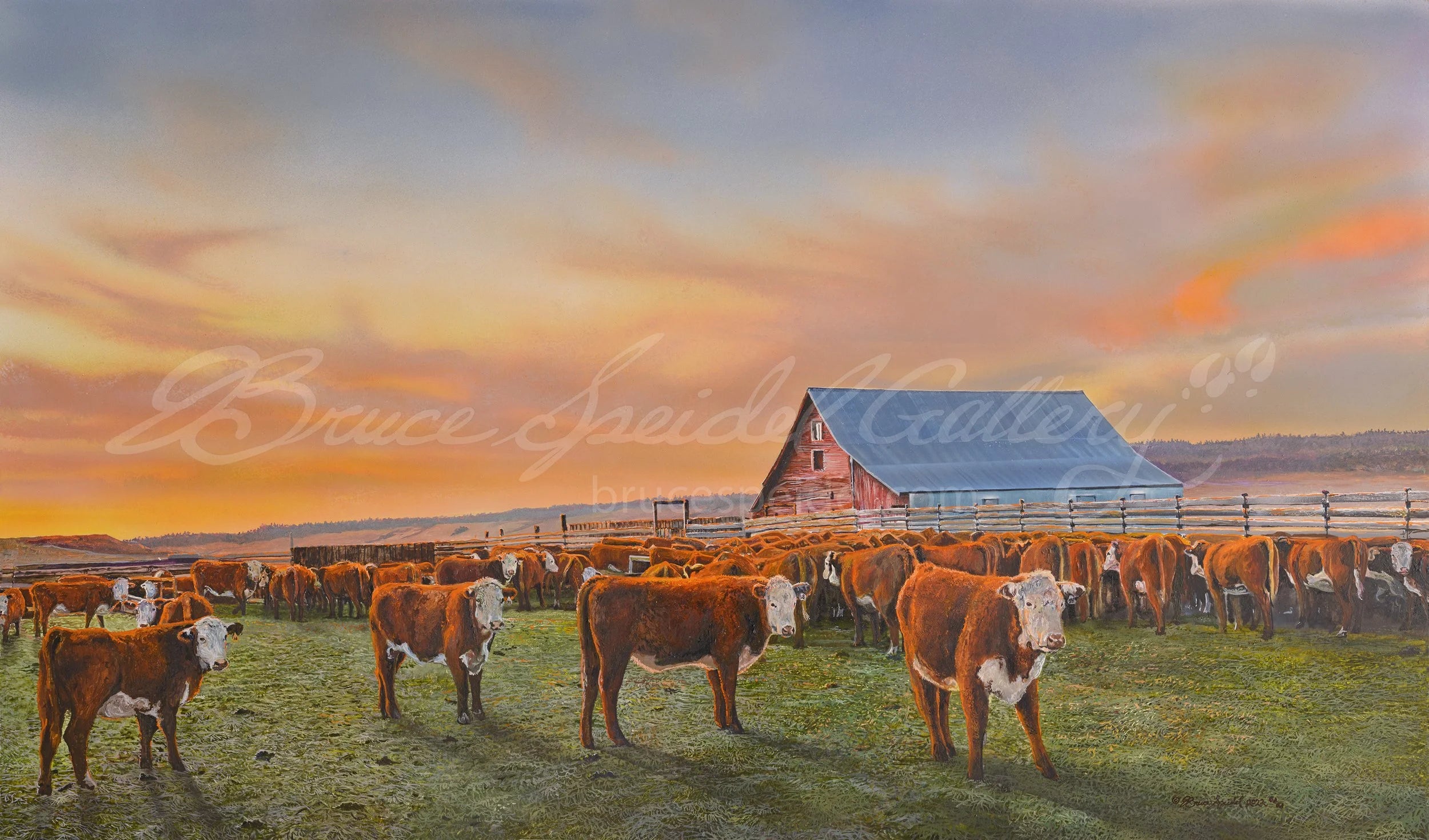 Hereford Sunset