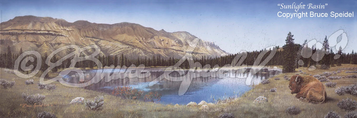 Sunlight Basin