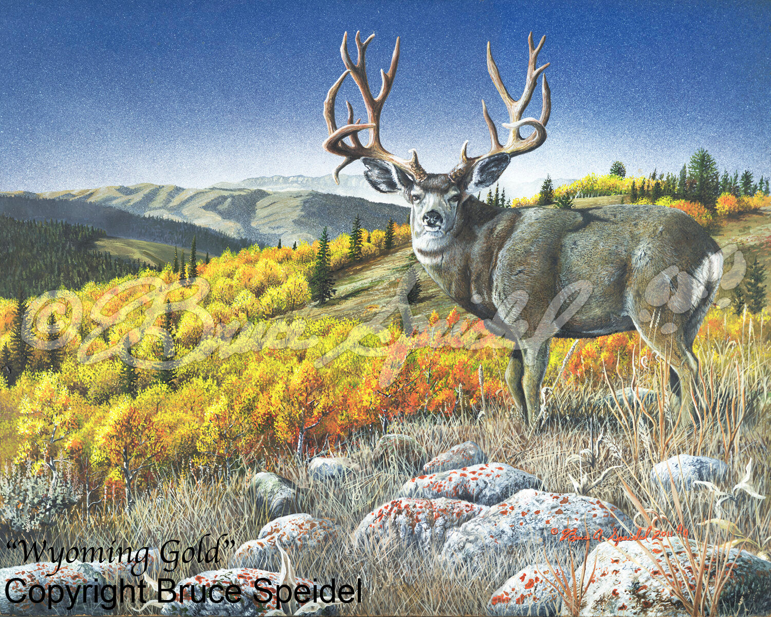 Wyoming Gold