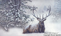 Black Hills Emperor