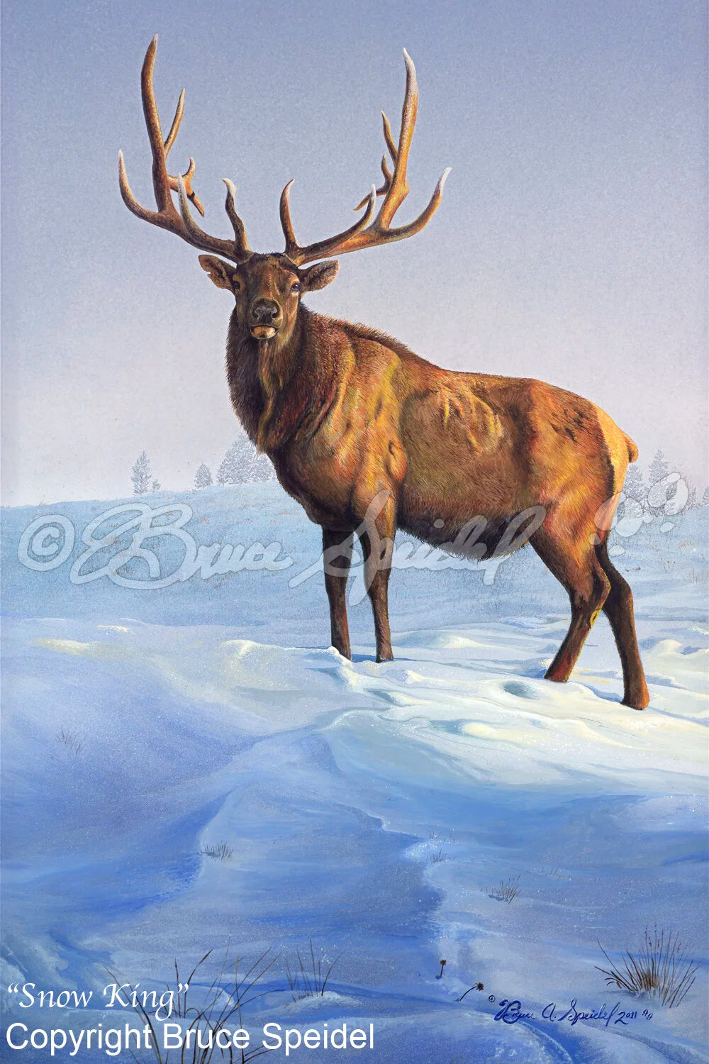 Snow King
