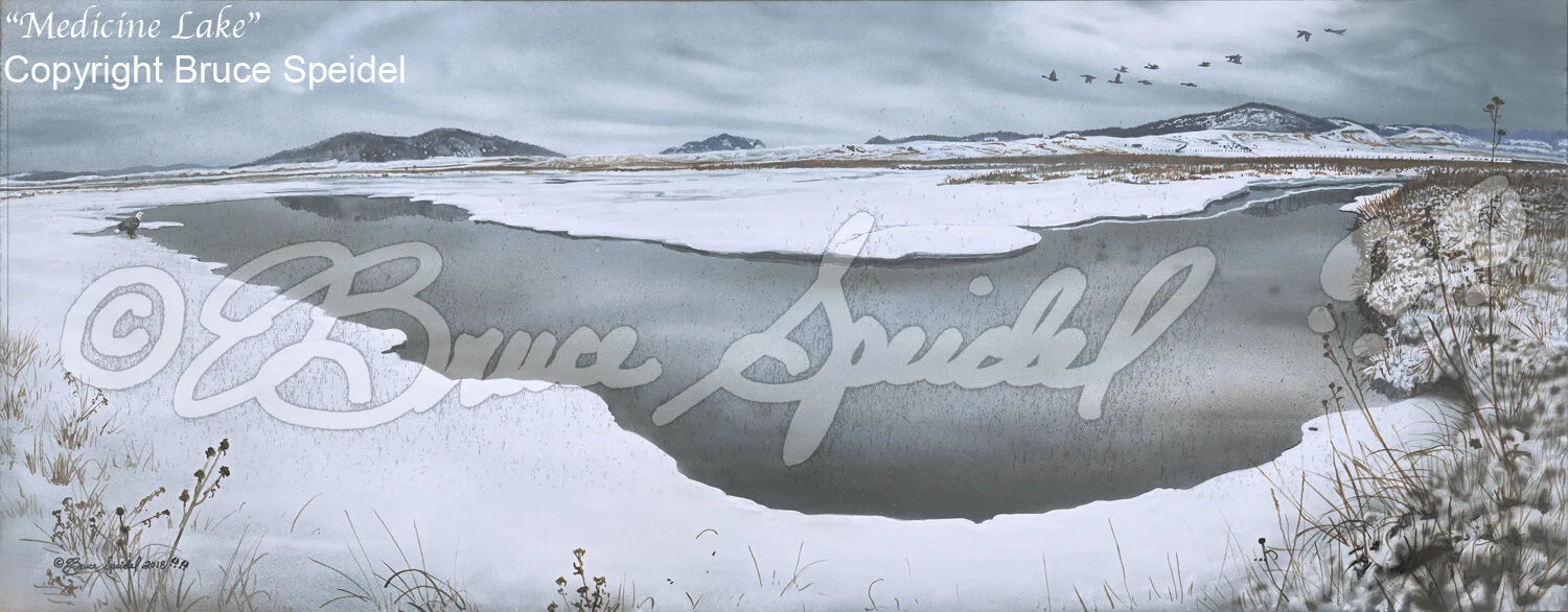 Medicine Lake