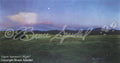 Quiet Summer’s Night