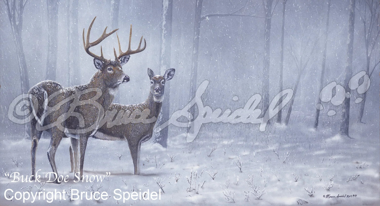Buck, Doe, Snow
