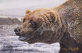Kamchatka