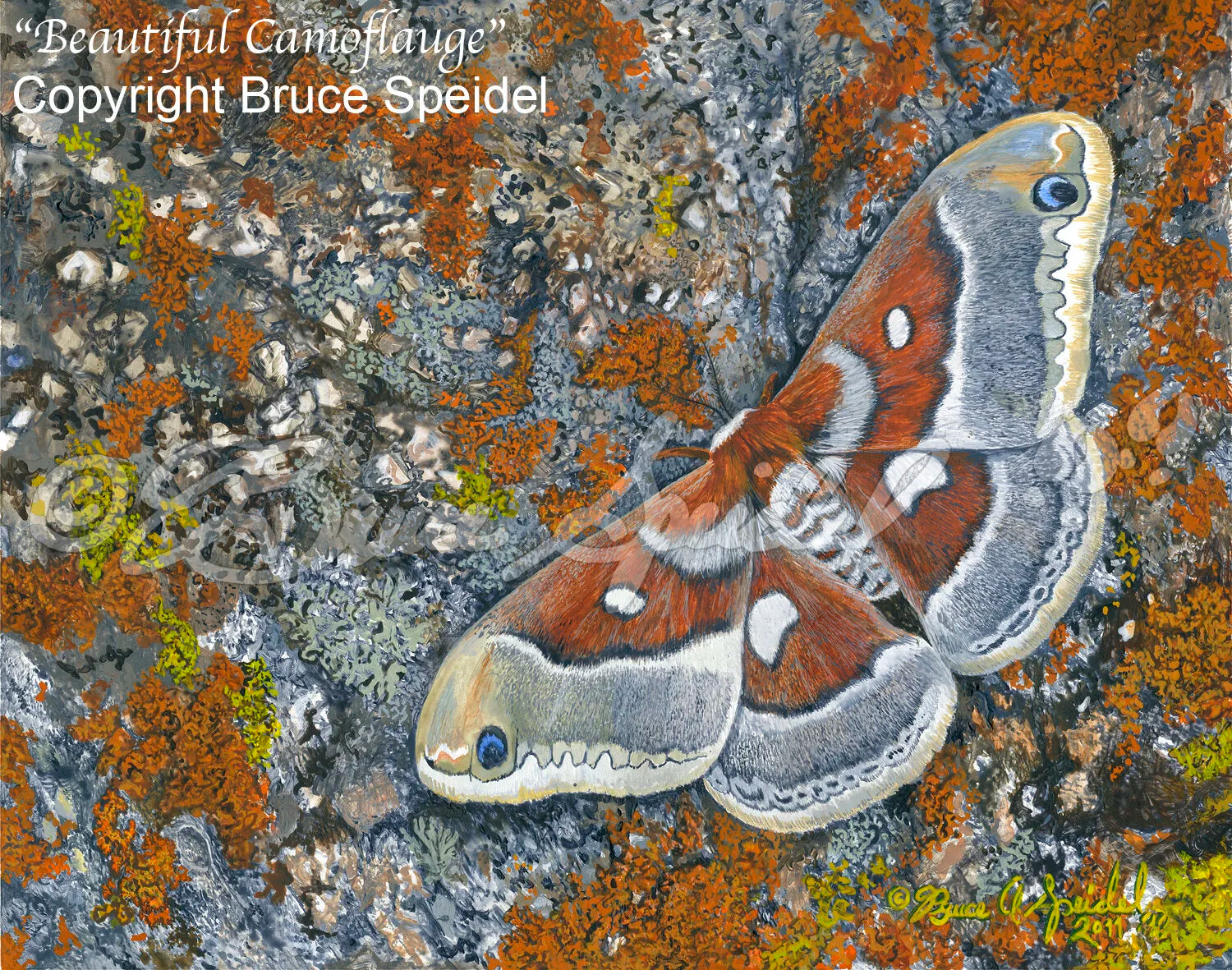 Beautiful Camouflage