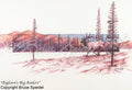 Bighorn’s Big Antlers