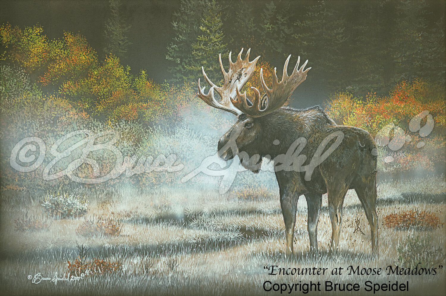 Encounter at Moose Meadows