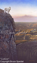 Lookout