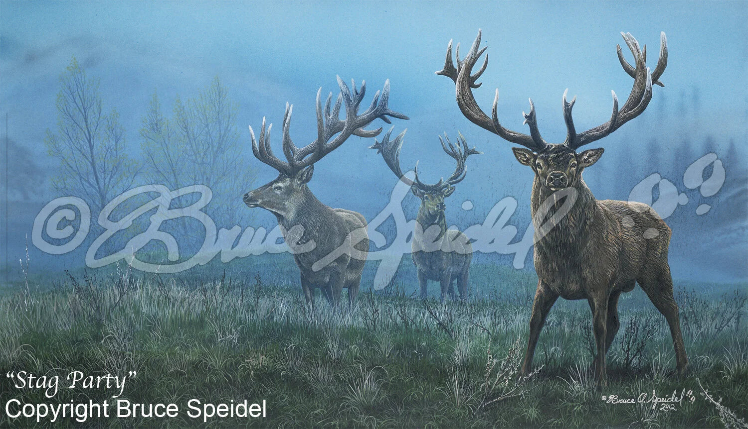Stag Party