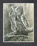 Little Red Riding Hoot