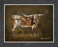 Longhorn