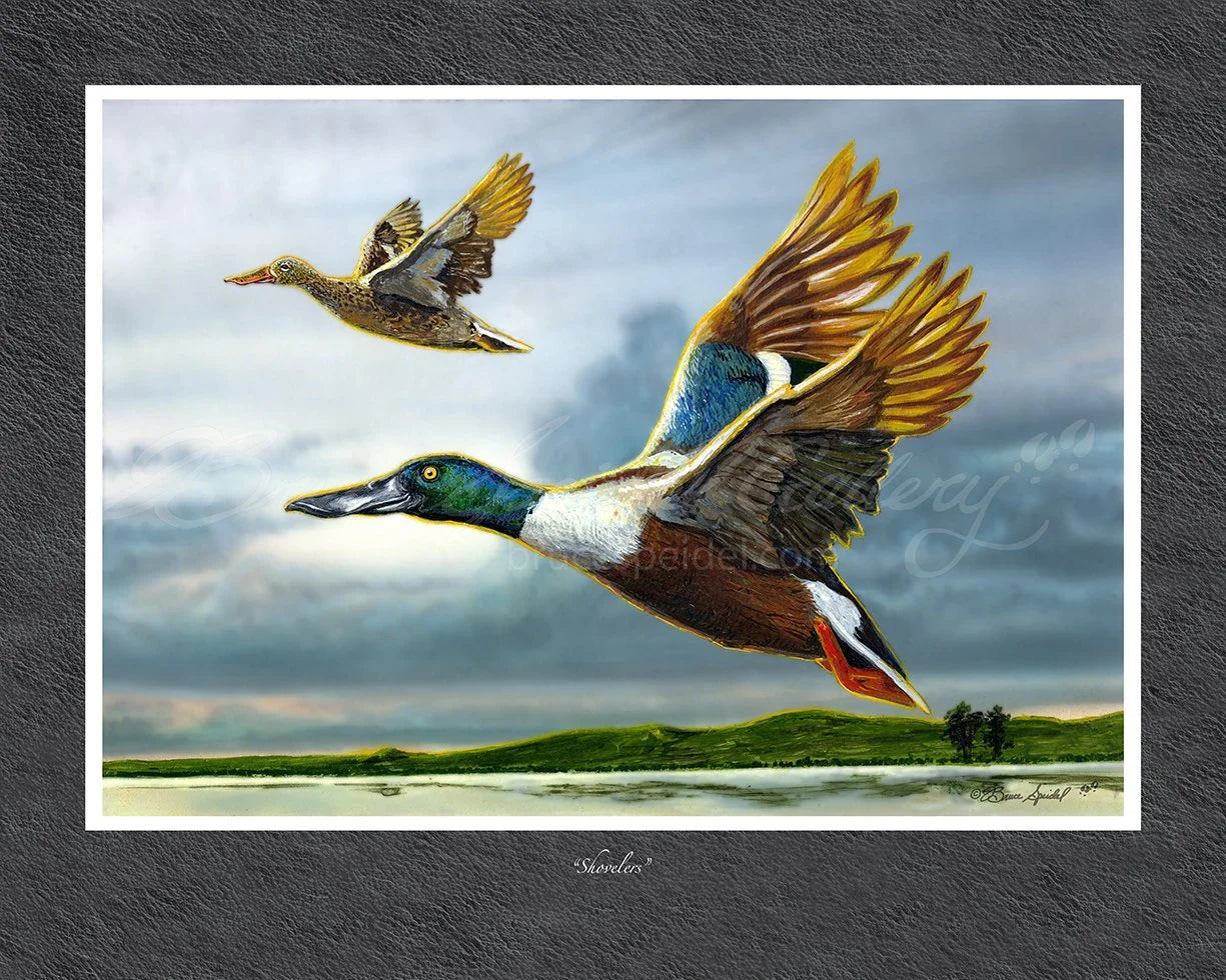 Shovelers