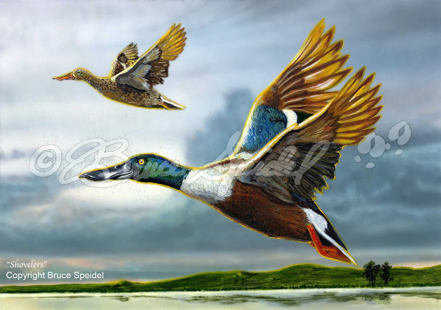 Shovelers
