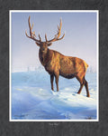 Snow King