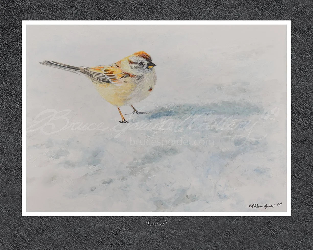 Snowbird