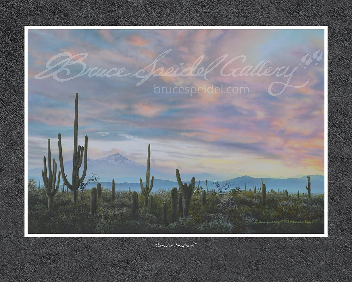 Sonoran Sundance