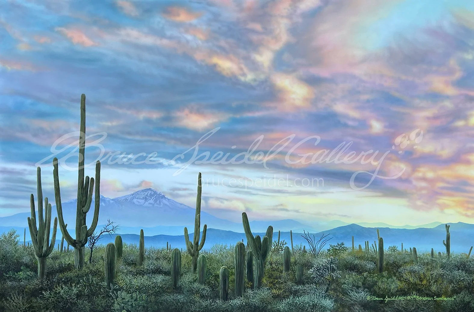 Sonoran Sundance