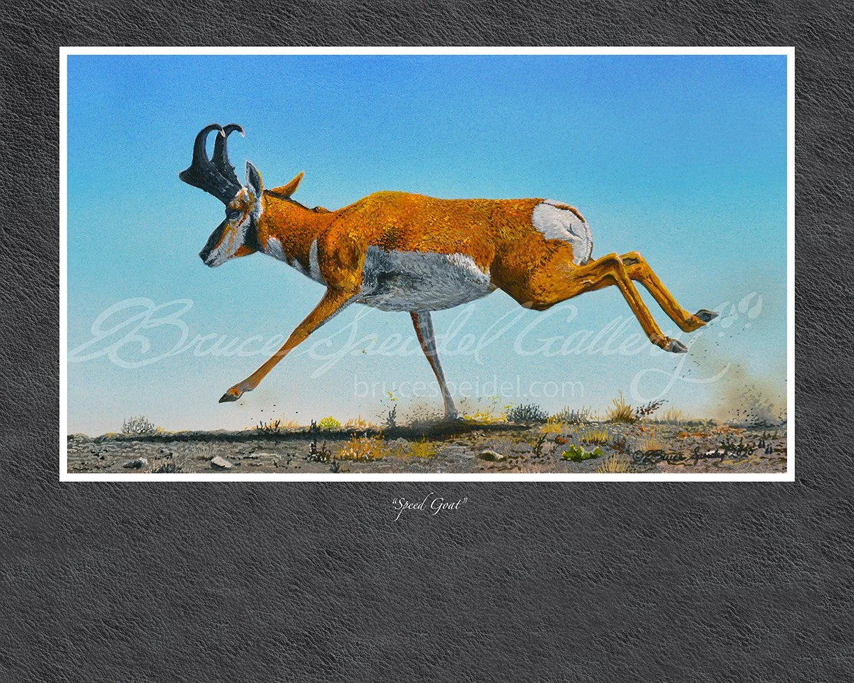 Speed Goat