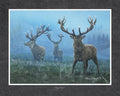 Stag Party