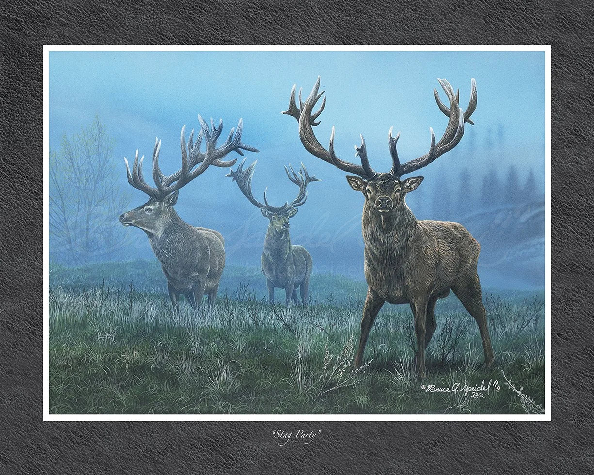 Stag Party