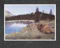 Sunlight Basin