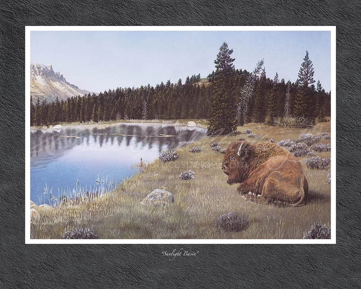 Sunlight Basin