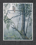 The Forest