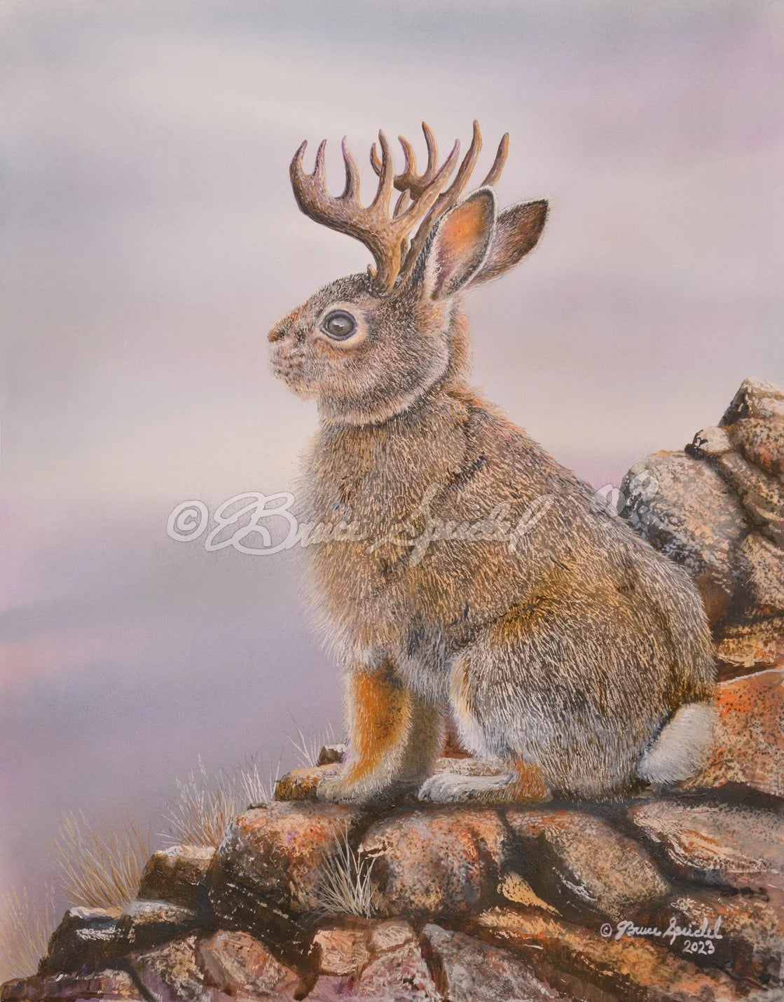 “The Handsome Hare of Hurricane Mesa”