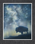 The Skies Proclaim